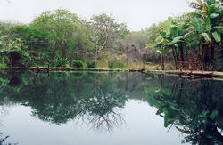 [Bild: th_65063_800px_Ecuador_aguablanca_sulfur..._540lo.jpg]