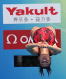 http://img254.imagevenue.com/loc165/th_43335_diving_world_champs_shanghai_2011_052_122_165lo.jpg